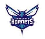 Unknown SPOT 1 - HORNETS product image